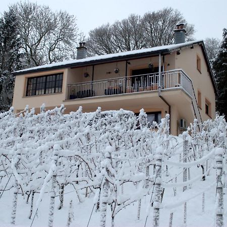 ロンツェンCasavitis Erholung Am Weinbergアパートメント エクステリア 写真