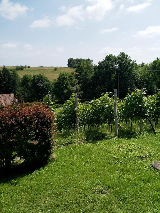 ロンツェンCasavitis Erholung Am Weinbergアパートメント エクステリア 写真