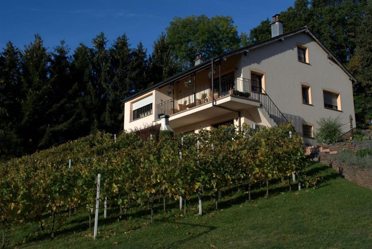 ロンツェンCasavitis Erholung Am Weinbergアパートメント エクステリア 写真