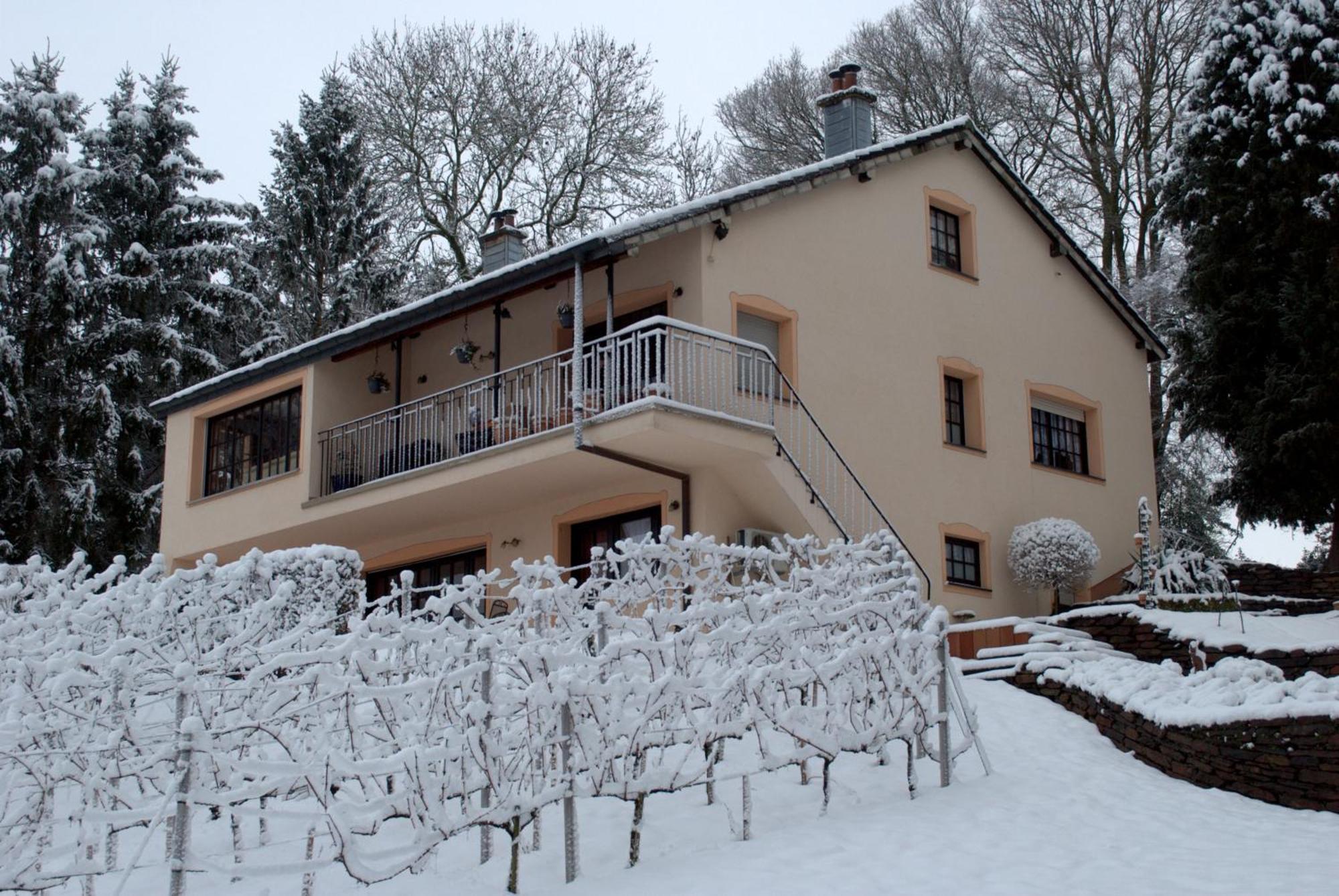 ロンツェンCasavitis Erholung Am Weinbergアパートメント エクステリア 写真